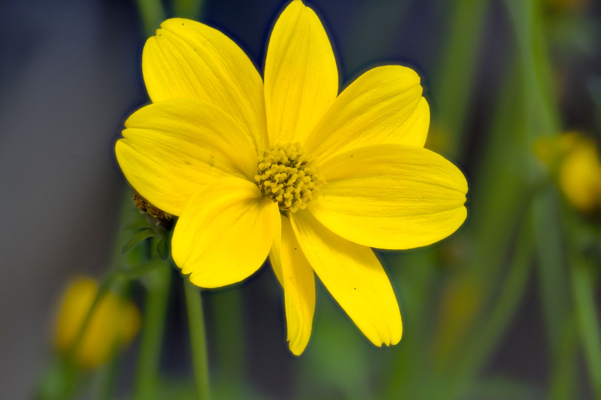 2022 05 07 17 51 29 (C,S10)a